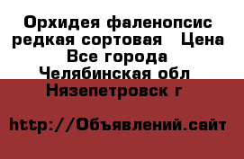 Орхидея фаленопсис редкая сортовая › Цена ­ 800 - Все города  »    . Челябинская обл.,Нязепетровск г.